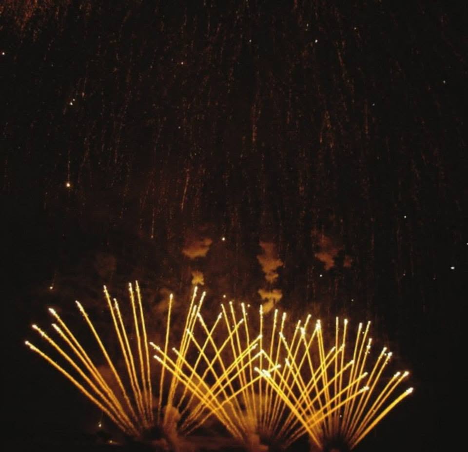 OlivaFire spettacolo